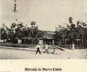 Mercado de Limón